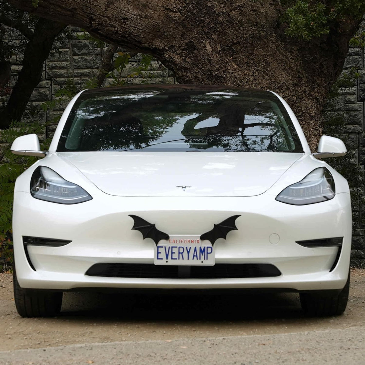 3D Bat Wings License Plate Decoration – Spooky Halloween Car Accessories, Gothic License Plate Frame Decor